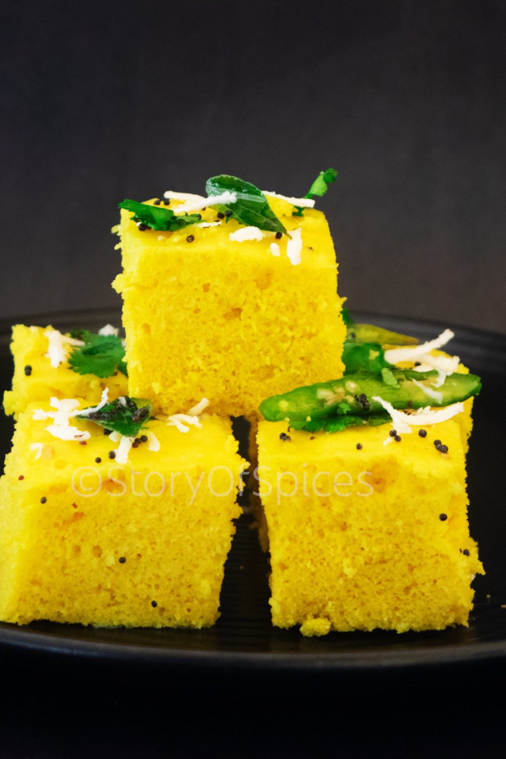 Nylon-Khaman-Recipe-Story-Of-Spices