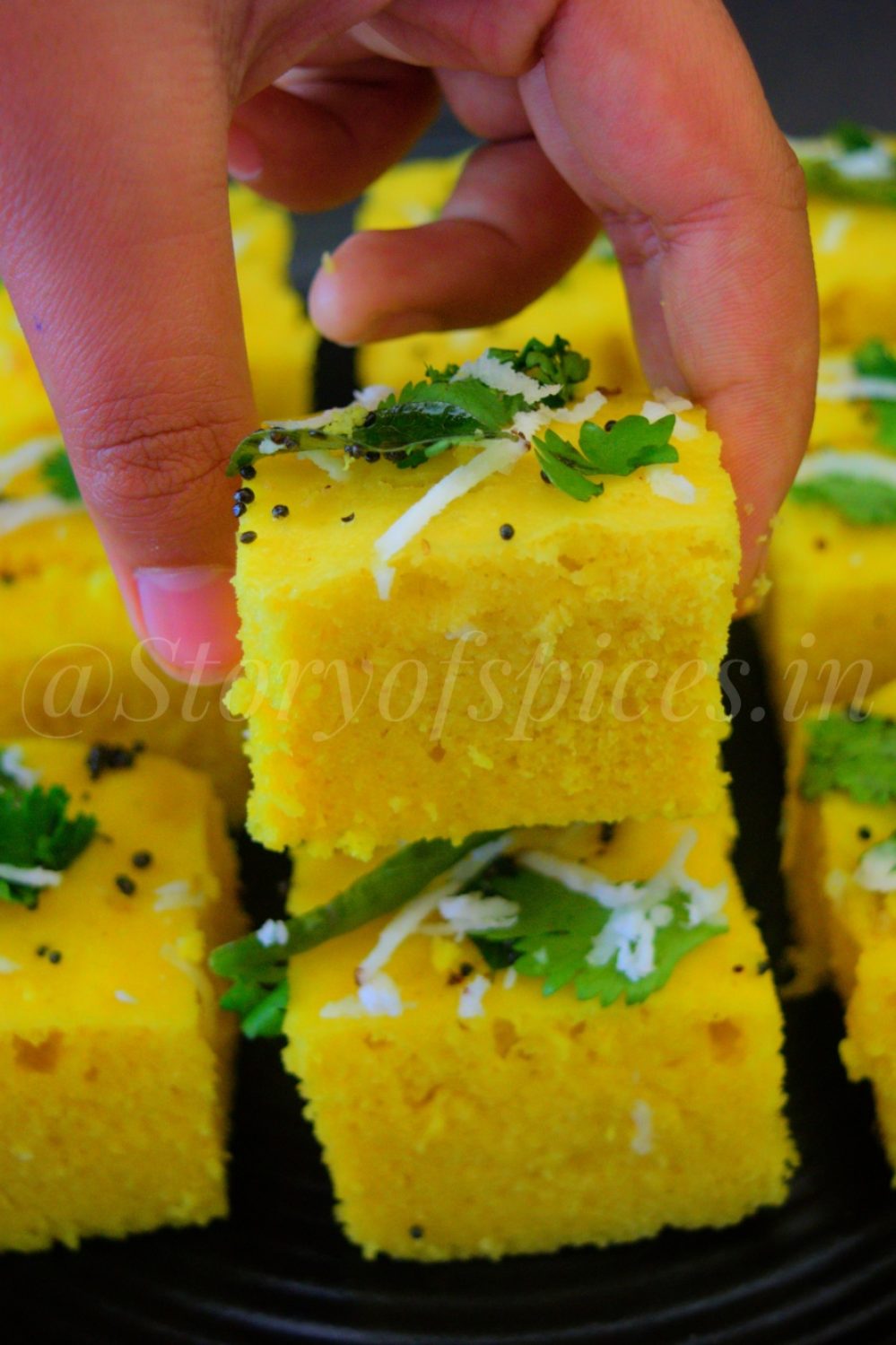 Nylon-Khaman-Recipe-Story-Of-Spices